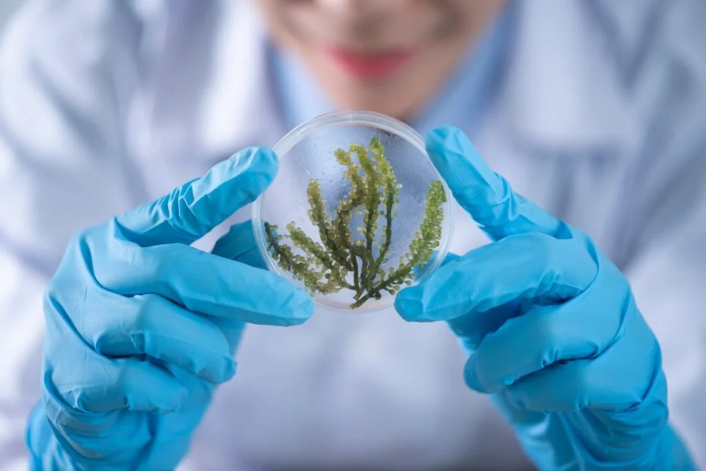 Understand biohacking